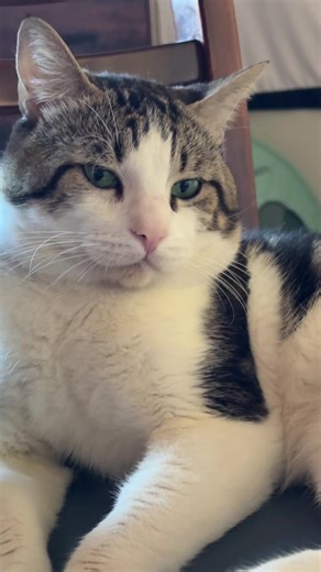 mr.invader_zim (@mr.invader_zim)’s videos with original sound - usbdgdgwhw