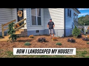 How to Landscape the Front of Your House |Part 1|