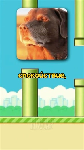 😨 The Other Side of Flappy Bird