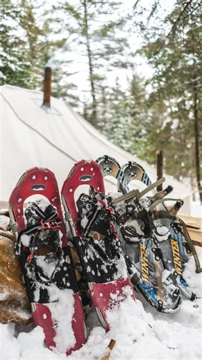 1K views · 68 reactions | This winter, live of the most unique winter...