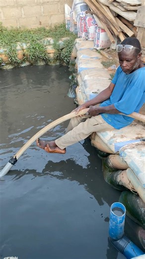 How to change earthen pond water | Kindness Fish Farm & General Services