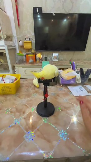 Cute Cockatiel's playful antics 😍 #CockatielLove #BirdsOfInstagram #FeatheredFriends #PetBirds #CockatielCare #AvianAdventures #BirdWatching #CutePets #BirdLovers #FeatheredCompanions #CockatielLife #AvianEnthusiasts #BirdVideos #PetBirdCommunity #ChirpyCharmers #CockatielCraze #BirdsAreFamily #ColorfulPlumage #FeatheredCuties #TropicalBirds | Cockatiels Craze