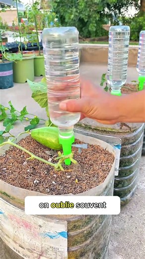 💧 Turn a bottle into an automatic watering system for your plants 🌱 Brilliant hack!