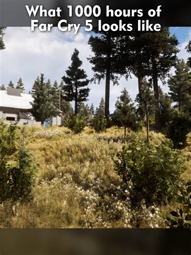 Exploring 1000 Hours in Far Cry 5: A Stealth Approach