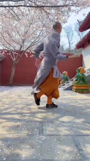 #Shaolin_monks #Shaolin_kung_fu #Chinese_Shaolin_martial_art, #Yunnan_Shaolin_Temple_China | Shaolin Kong Fu