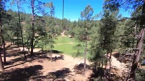 Ever wondered what our campers are up to while at the Challenge course or ultimate frisbee? Wonder no more😎 | Friendly Pines Camp