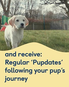 557K views · 1K reactions | Sponsor an adorable puppy from just £1 per week! Help Willow, Cooper and Coco transform the life of someone with sight loss. When you sponsor a puppy you’ll receive regular Pupdates and photos, access to your puppy’s exclusive Facebook group, a puppy magnet and much more! | Guide Dogs UK | Facebook