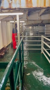 8.7K views · 727 reactions | Animal welfare outcomes on Australian export ships are exceptional and it starts with cleaning the vessel, before livestock are even loaded! | The Livestock Collective | Facebook