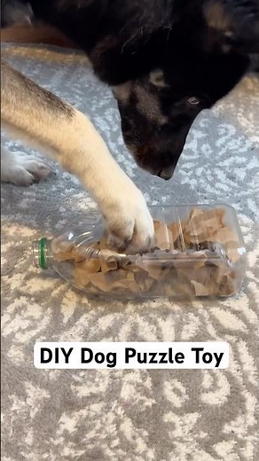 DIY Dog Puzzle Toy for Mental Stimulation