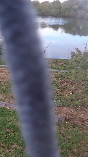 👀A proper scaleyun! | James Armstrong Angler