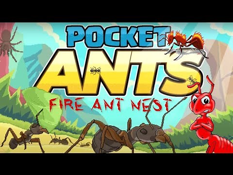 Pocket Ants - NEW SECRET FIRE ANT NEST! | How to get more Honeydew! (No hack)