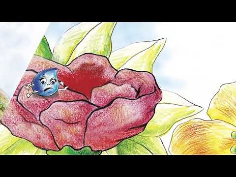 Cuento: "La gotita de lluvia"