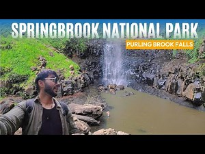 Springbrook National Park | Purling Brook Falls | 4km Hike That Turned Into 8km