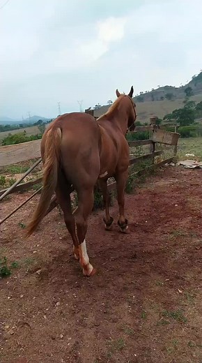 Sergio Calixto no TikTok