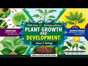 Growing Strong | Plant Growth & Development | Class 11 Biology | CBSE/ICSE/TN Board