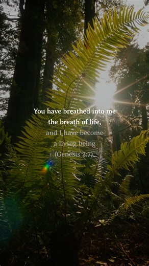 An excerpt from the Life Prayer—a powerful prayer when facing times of suffering, affliction, or when you need to return to the true source of life. Take a moment to pause and pray it today. Explore more prayers on our Prayer page at wildatheart.org/prayer | John Eldredge and Wild At Heart