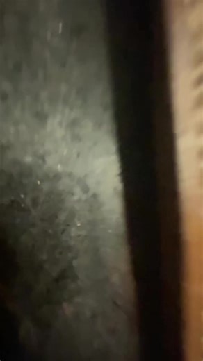 22K views · 514 reactions | Wood chisel sheath #leather #leatherwork #tools #diy #leathercraft | Tick Creek Ranch | Facebook