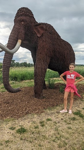 Drop a 🥾 if you hike with your kids! We love hiking both locally and throughout the Midwest. Some of our favorites are: 🥾 Retzer Nature Center 🥾 Ice Age Trail 🥾 Peninsula State Park 🥾 Horicon Marsh {featured here} 🥾 Lapham Peak Find our favorite local hikes through the link in bio. Features we love to discover and explore include: 💦 Water, whether that's water falls, rivers, or lakes ⛰️ Lookout points. Bonus if there's a @travelwisconsin selfie stand 🥾 Trails and hikes less than 5 miles 