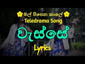 වැස්සේ | Wasse (Lyrics) Sithara Madushani / Nirmani Shalithya || Mal Pipena Kaale Teledrama Song