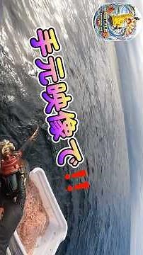 【金州五目釣り】御前崎博栄丸金州沖色々釣れるから楽しい‼️ #bstylefishing #daiwa #釣り #博栄丸 #船釣り #五目釣り
