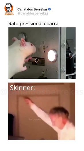 Behaviorismo radical R++ #behaviorismo #skinner #comportamento #reforco