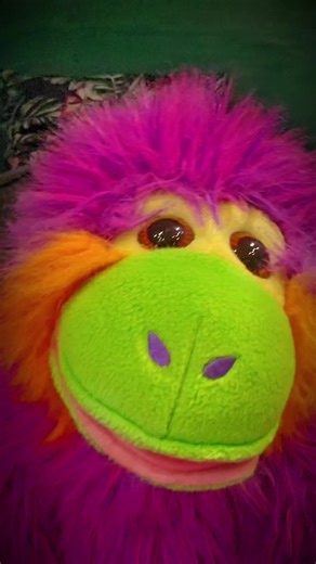 Don't send me that dong! #purplesharon #gingerbarry #puppet #funny #song