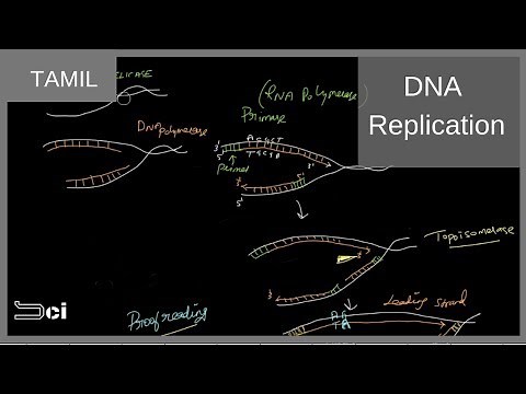 DNA replication explained in Tamil