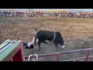 Expert Bull Ride Analysis