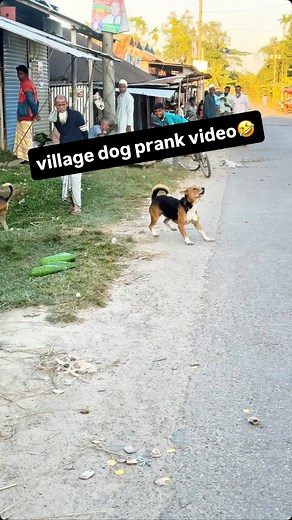337K views · 37K reactions | Drone prank Dog funny video﫣藍 #fy #foryou #droneprank #prank #village #funny #viral #explore #follower #everyone #everyonefollowers #everyonehighlights #dogs | Fokir Lal | Facebook