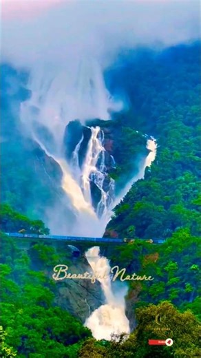 Dudhsagar Falls 😍 Nature’s Magic. #waterfall #nature #travel #goa #dudhsagarfallsingoa