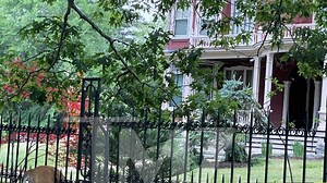 Deer Impaled on Fence at Stephen King's Home, Euthanized by Cops