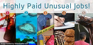 5 Most Crazy and Unusual Jobs!
