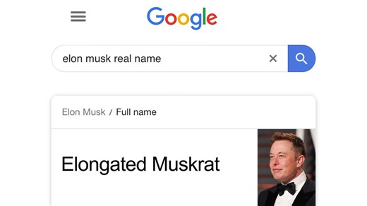 Answering Google's most searched questions from 2019