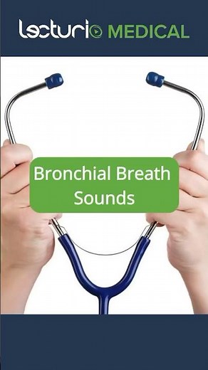 🫁 Bronchial Breath Sounds: Key Auscultation Insights 💨 #usmlestep #usmle