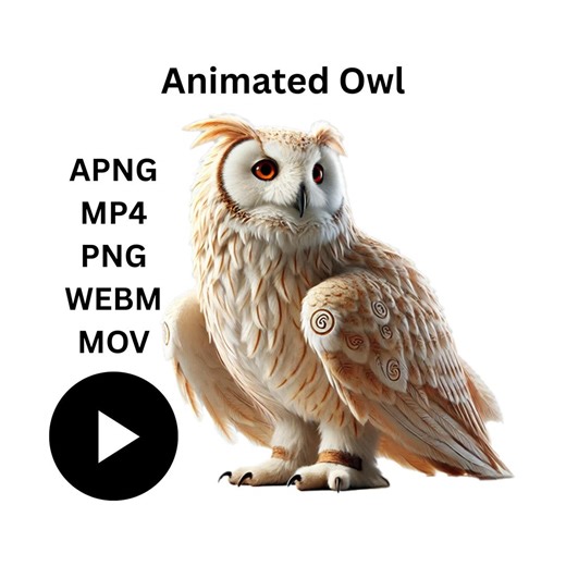 Magical Owl Animation Loop: Green Screen, Transparent Clipart (digital Download) - Etsy