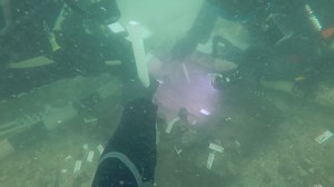 'Unprecedented' 7,000-year-old burial site off coast of Manasota Key