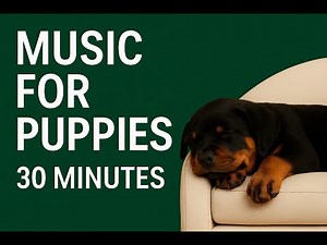 30 Minutes of Calming Puppy Music • Soft Ambient Sounds for Relaxation