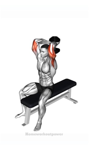 Triceps Workout At Home 🔥