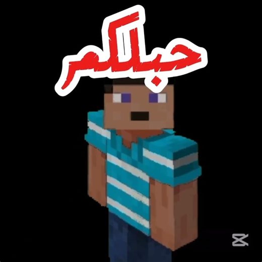 طالعين ليوم و رايحين للكرادة #minecraft #ماين_كرافت #funk #shorts