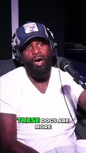 Malinois: The Ultimate Guard Dog for Home Protection #shorts