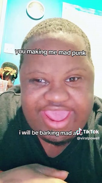 Experiencing Madness: Barking Memes and Reactions