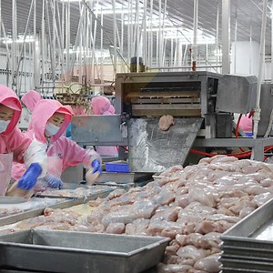 [Hot Item] Automatic Chicken Slaughterhouse Poultry Scalding Machine Chicken Defeathering Machine