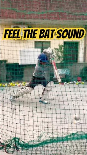 Feel the Bat Sound 🏏 | ASMR Cricket Bat Shots