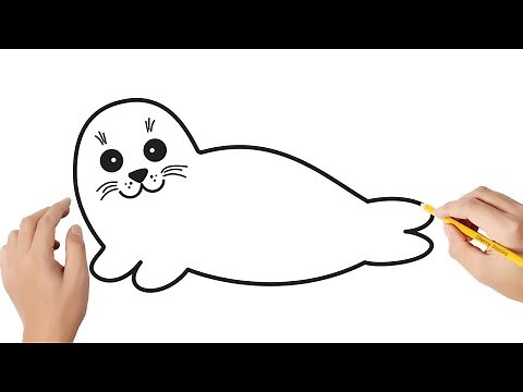 Comment dessiner une phoque