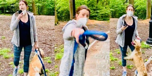 'We've moved on to new racists': 'Central Park Karen' slammed after defensive op-ed