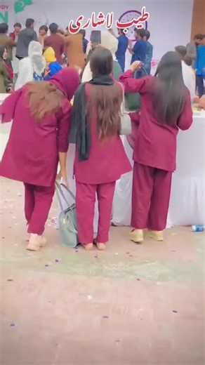 Discovering College Life: Experiences and Adventures