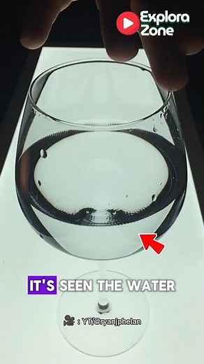 The Hidden Patterns of Resonance