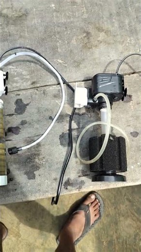 sponge filter and canister filter cleaning #🐠heavy filtra#crystal clear water