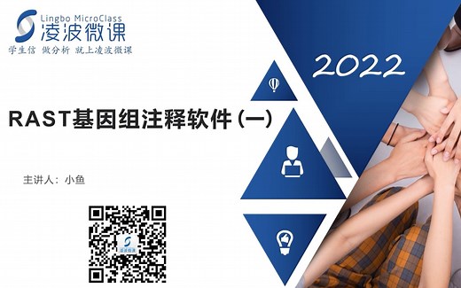 RAST在线实操（一）