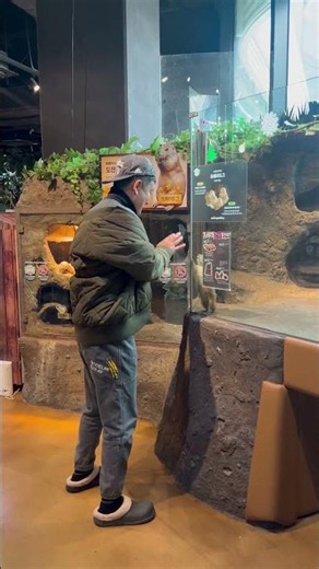 Dad Dances With Prairie Dog at the Zoo